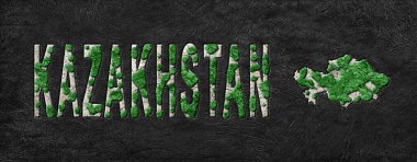 Kazakistan 'ın Yeşil Gündem Yeniden Ormanlandırması Haritası, İklim Mesajı