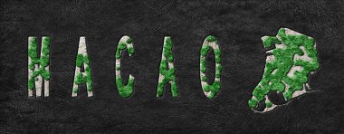 Macao Ormanının Yeşiller Gündemi Haritası, İklim Mesajı