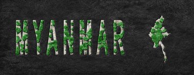 Myanmar Ormanının Yeniden Ormanlanma Haritası Yeşil Gündem, İklim Mesajı