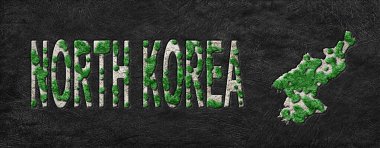 Kuzey Kore 'nin Yeniden Ormanlanma Yeşil Gündem Haritası, İklim Mesajı