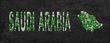 Suudi Arabistan 'ın Yeşil Gündem Yeniden Düzenleme Haritası, İklim Mesajı