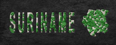 Surinam Yeniden Ormanlama Yeşil Gündem Haritası, İklim Mesajı