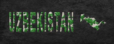 Özbekistan Yeniden Ormanlandırma Yeşil Gündem Haritası, İklim Mesajı