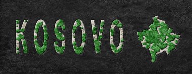 Kosova 'nın Yeniden Ormanlanma Haritası Yeşil Gündem, İklim Mesajı