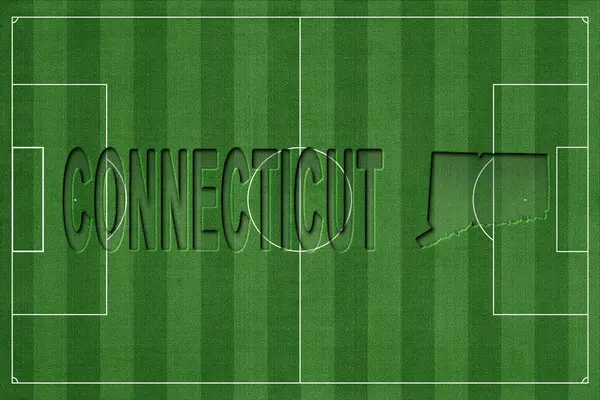 Connecticut Futbol Sahası, Milli Takım Konsepti
