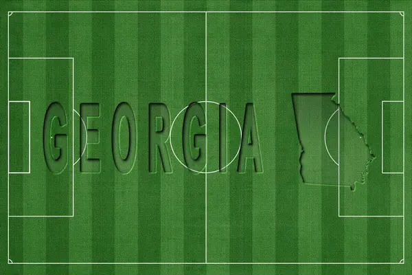 Gürcistan Futbol Sahası, Milli Takım Konsepti