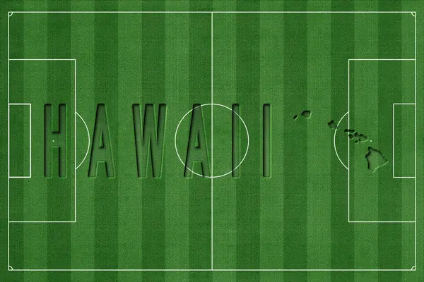 Futbol Sahasında Hawaii, Milli Takım Konsepti