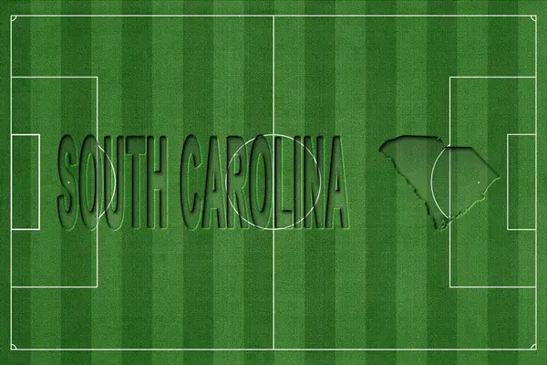 Güney Carolina Futbol Sahasında, Milli Takım Konsepti