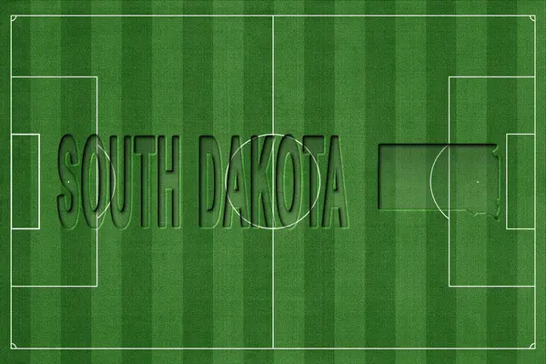 Güney Dakota Futbol Sahası, Milli Takım Konsepti