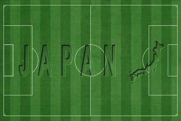 Japonya Futbol Sahasında, Milli Takım Konsepti