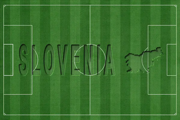 Slovenya Futbol Sahası, Milli Takım Kavramı