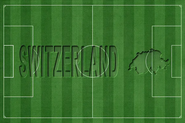 İsviçre Futbol Sahası, Milli Takım Konsepti