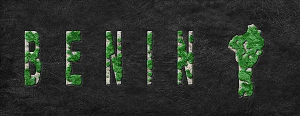 Benin Ormanının Yeniden Ormanlanma Haritası Yeşil Gündem, İklim Mesajı