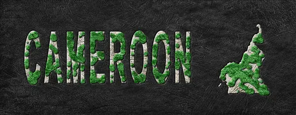 Kamerun Yeniden Ormanlama Yeşil Gündem Haritası, İklim Mesajı