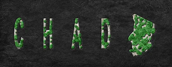 Çad 'ın Yeniden Ormanlanma Haritası Yeşil Gündem, İklim Mesajı