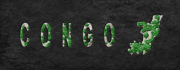 Kongo Yeniden Ormanlanma Haritası Yeşil Gündem, İklim Mesajı