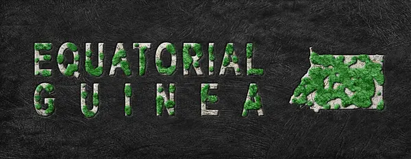 Ekvator Ginesi Yeniden Ormanlama Yeşil Gündem Haritası, İklim Mesajı