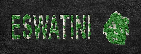 Eswatini Yeniden Ormanlama Yeşil Gündem Haritası, İklim Mesajı