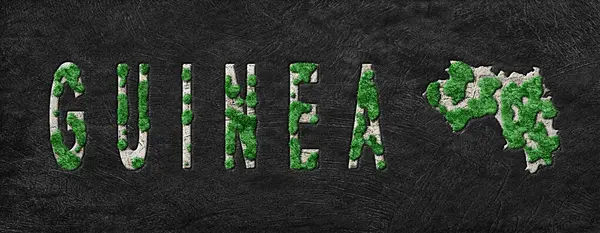 Gine Ormanının Yeniden Ormanlanma Haritası Yeşil Gündem, İklim Mesajı