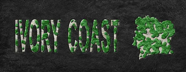 Fildişi Sahil Yeniden Ormanlama Yeşil Gündem Haritası, İklim Mesajı