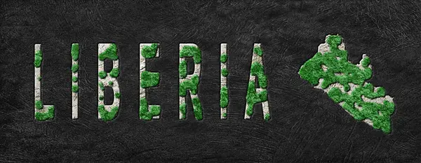 Liberya Ormanlarının Yeniden Canlandırılması Yeşil Gündem, İklim Mesajı