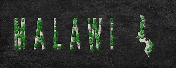 Malawi Yeniden Ormanlama Yeşil Gündem Haritası, İklim Mesajı