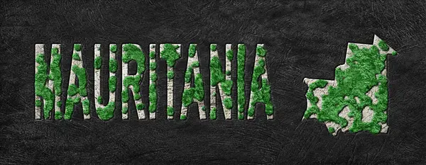 Moritanya 'nın Yeşil Gündem Yeniden Ormanlandırma Haritası, İklim Mesajı