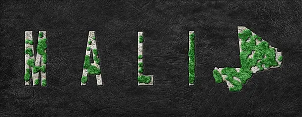 Mali Ormanlarının Yeniden Ormanlanma Haritası Yeşil Gündem, İklim Mesajı