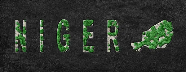 Nijer Ormanlarının Yeşiller Gündemi Haritası, İklim Mesajı