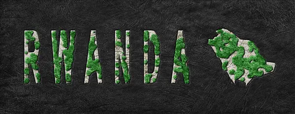 Rwanda Ormanının Yeniden Ormanlanma Haritası Yeşil Gündem, İklim Mesajı
