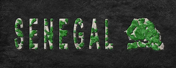 Senegal Ormanlarının Yeniden Canlandırılması Haritası Yeşil Gündem, İklim Mesajı