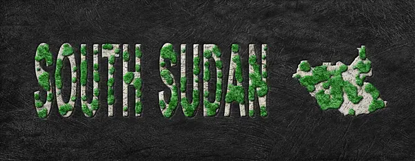 Güney Sudan Ormanlarının Yeşiller Gündemi Haritası, İklim Mesajı