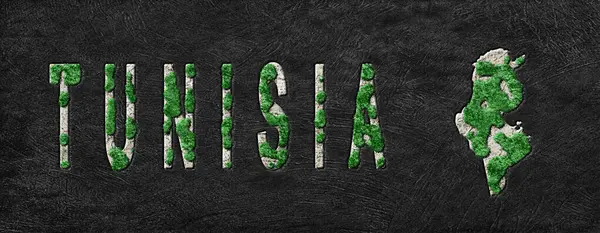 Tunus 'un Yeniden Ormanlanma Haritası Yeşil Gündem, İklim Mesajı