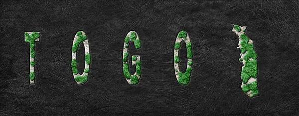 Togo Ormanını Yenileme Haritası Yeşil Gündem, İklim Mesajı