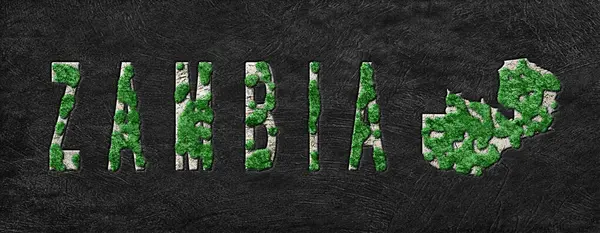 Zambiya Ormanlarını Yenileme Haritası Yeşil Gündem, İklim Mesajı