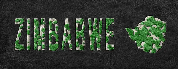 Zimbabwe 'nin Yeşil Gündem Haritası, İklim Mesajı