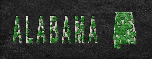 Alabama Ormanlarını Yenileme Haritası Yeşil Gündem, İklim Mesajı