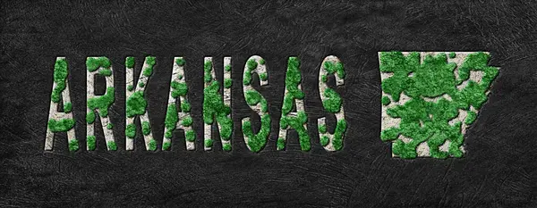 Arkansas Ormanlarının Yeniden Ormanlanma Haritası Yeşil Gündem, İklim Mesajı