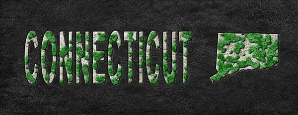 Connecticut Ormanını Yenileme Haritası Yeşil Gündem, İklim Mesajı