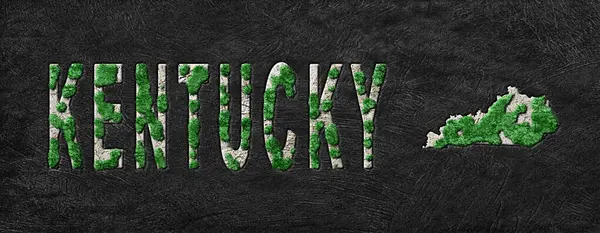 Kentucky Ormanlarının Yeşiller Gündemi Haritası, İklim Mesajı