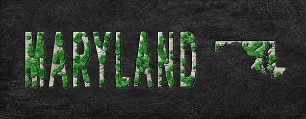 Maryland Ormanının Yeniden Ormanlanma Haritası Yeşil Gündem, İklim Mesajı