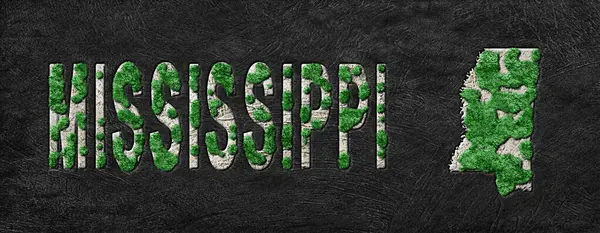 Mississippi Ormanlarının Yeniden Ormanlanma Haritası Yeşil Gündem, İklim Mesajı