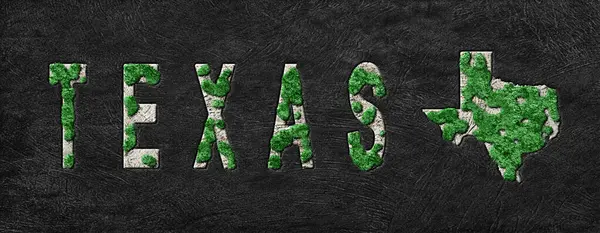 Teksas 'ın Yeniden Ormanlanma Haritası Yeşil Gündem, İklim Mesajı