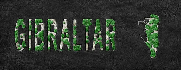 Cebelitarık Ormanını Yenileme Haritası Yeşil Gündem, İklim Mesajı