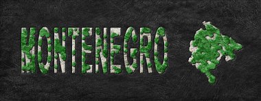 Karadağ 'ın Yeniden Ormanlanma Haritası Yeşil Gündem, İklim Mesajı