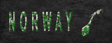 Norveç 'in Yeniden Ormanlanma Haritası Yeşil Gündem, İklim Mesajı