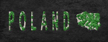 Polonya Haritası Yeniden Ormanlama Yeşil Gündem, İklim Mesajı