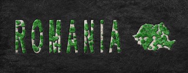 Romanya 'nın Yeniden Ormanlanma Haritası Yeşil Gündem, İklim Mesajı