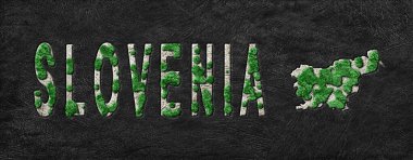 Slovenya Ormanlarını Yeniden Ormanlandırma Haritası Yeşil Gündem, İklim Mesajı