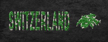 İsviçre 'nin Yeniden Ormanlanma Haritası Yeşil Gündem, İklim Mesajı